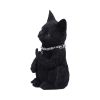Cattitude 16.5cm - Image 2