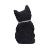 Cattitude 16.5cm - Image 3