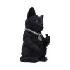 Cattitude 16.5cm - Image 4