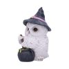 Owl Potion 17.5cm - Image 2