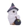 Owl Potion 17.5cm - Image 4