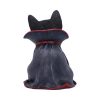 Count Catula 15.5cm - Image 3