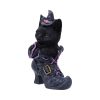 Mischievous Familiar 18.5cm Coven Keepers - Image 2