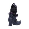 Mischievous Familiar 18.5cm Coven Keepers - Image 4