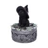 Ivy Familiar Box 15cm Coven Keepers - Image 2