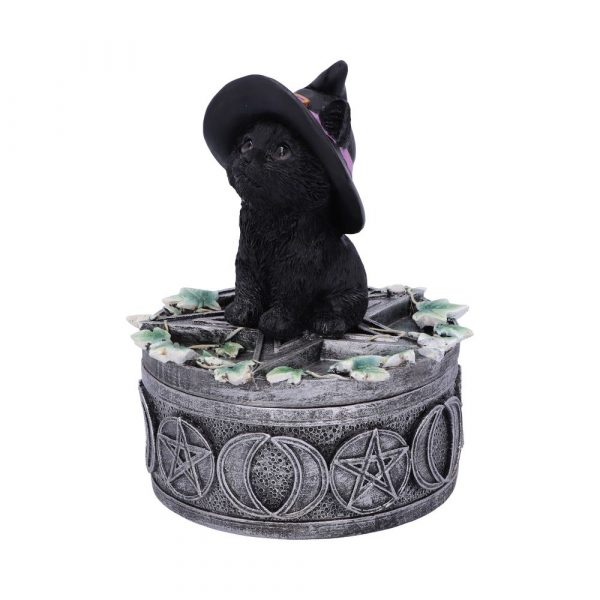 Ivy Familiar Box 15cm Coven Keepers - Image 2
