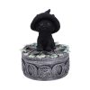Ivy Familiar Box 15cm Coven Keepers