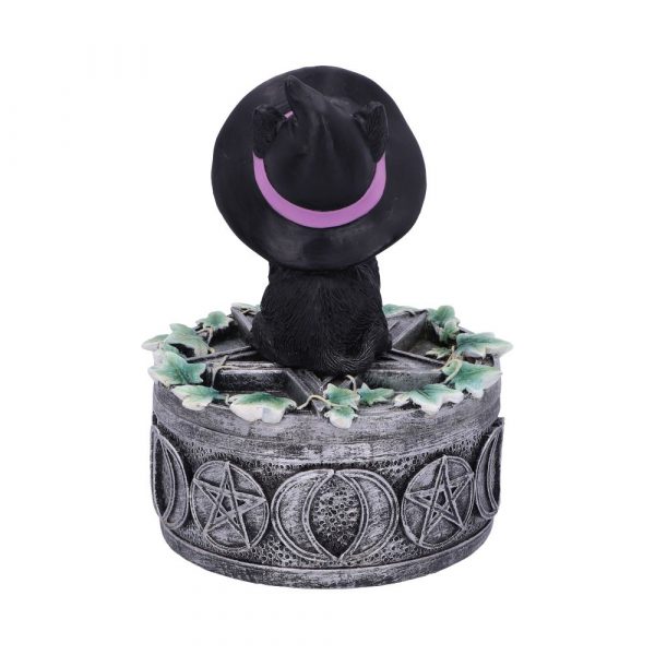 Ivy Familiar Box 15cm Coven Keepers - Image 3