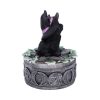 Ivy Familiar Box 15cm Coven Keepers - Image 4
