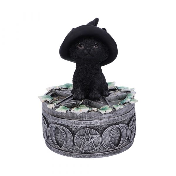 Ivy Familiar Box 15cm Coven Keepers