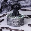 Ivy Familiar Box 15cm Coven Keepers - Image 5