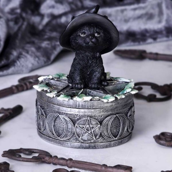 Ivy Familiar Box 15cm Coven Keepers - Image 5