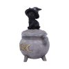 Kitty's Brew 14cm Coven Keepers - Image 2