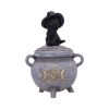 Kitty's Brew 14cm Coven Keepers