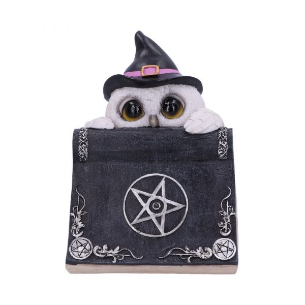 Owl's Spell 15cm - Image 2