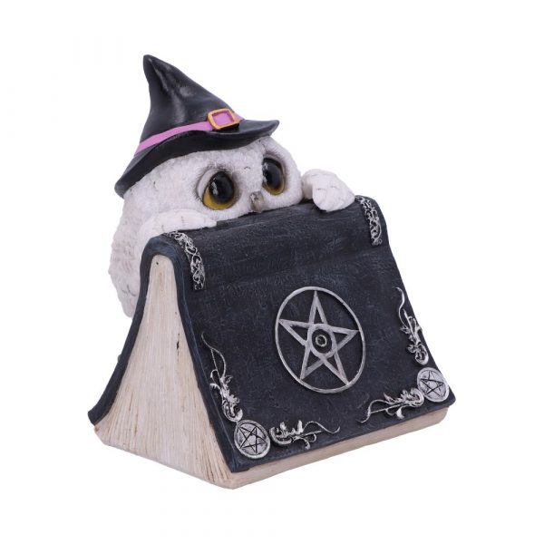Owl's Spell 15cm - Image 4