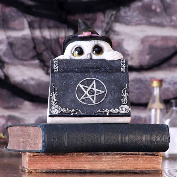 Owl's Spell 15cm - Image 5