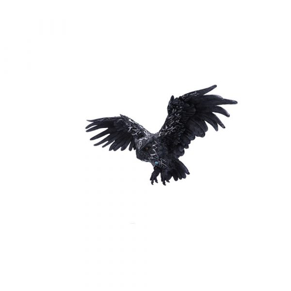 Dark Feather 55cm - Image 2