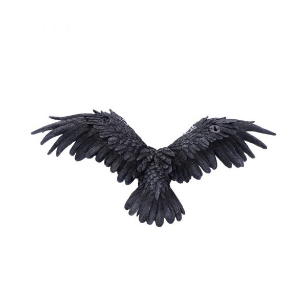 Dark Feather 55cm - Image 3