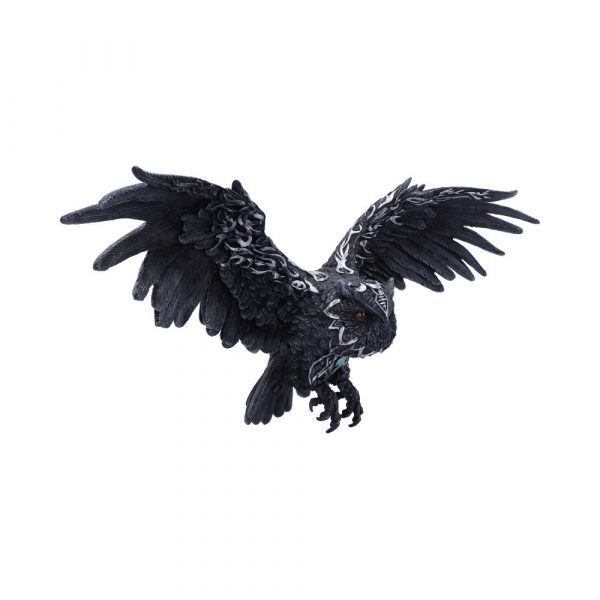 Dark Feather 55cm - Image 4