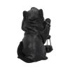 Reapers Feline Lantern 18.5cm - Image 3