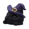 Familiar Grin 13.8cm Coven Keepers - Image 2
