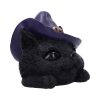 Familiar Grin 13.8cm Coven Keepers - Image 4