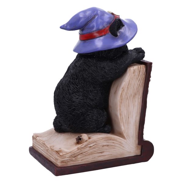 Peek-a-boo 20cm Coven Keepers - Image 4
