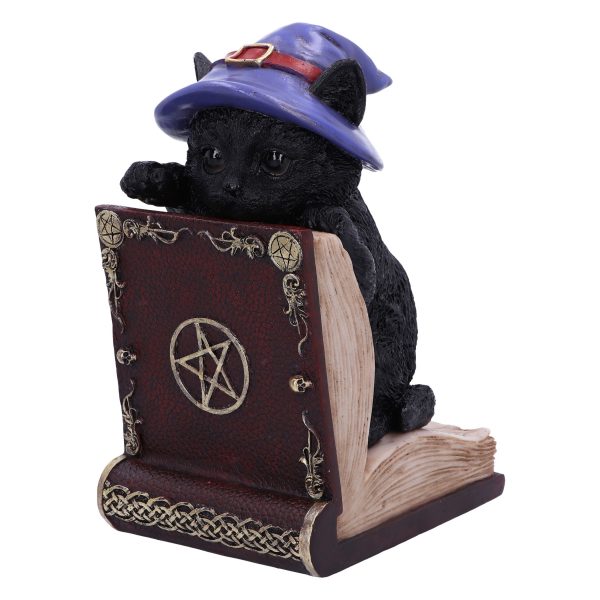 Peek-a-boo 20cm Coven Keepers