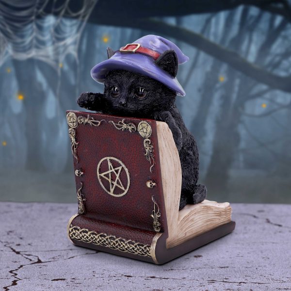 Peek-a-boo 20cm Coven Keepers - Image 5