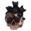 Cranial Litter 14cm - Image 2