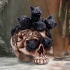 Cranial Litter 14cm - Image 5