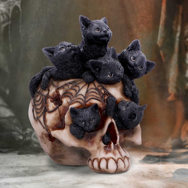 Cranial Litter 14cm - Image 5