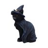 Bewitching 18.5cm - Image 3