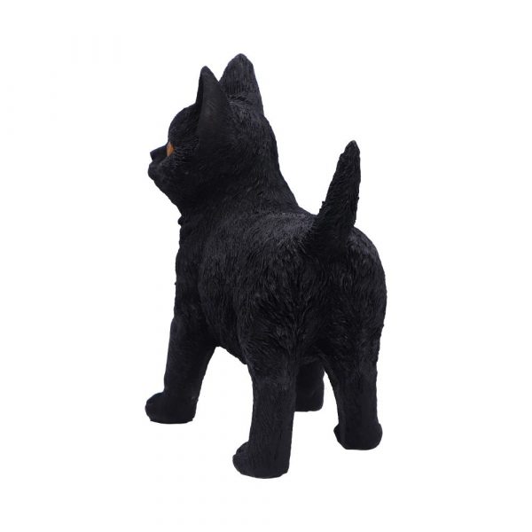 Charmed Companion 20cm - Image 3