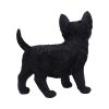 Charmed Companion 20cm - Image 4