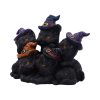 Familiar Friends 18cm Coven Keepers - Image 3