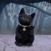 Metallicat 16.5cm - Image 5