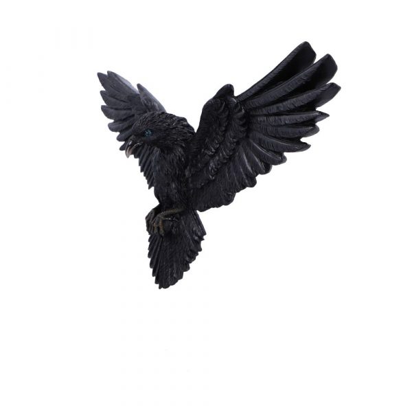 Flight of the Raven 35cm - Image 2