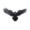 Flight of the Raven 35cm - Image 3