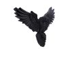 Flight of the Raven 35cm - Image 4