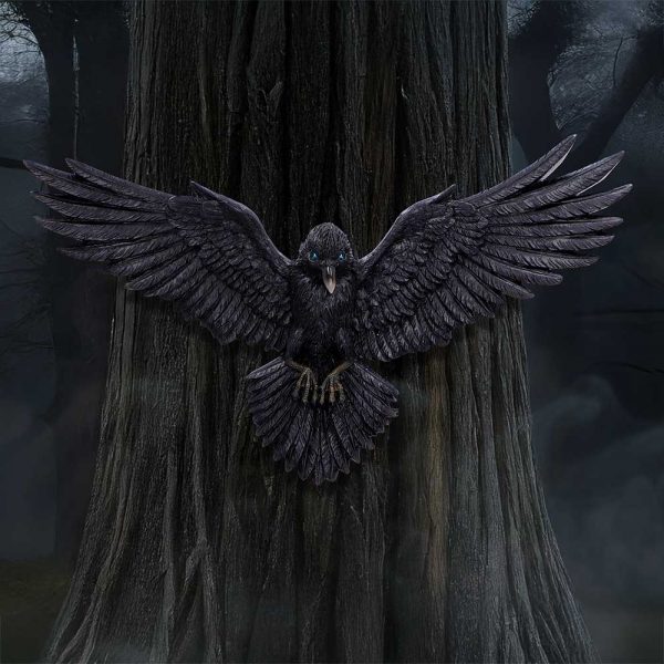 Flight of the Raven 35cm - Image 5