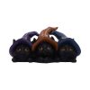 Trio of Mischief 20cm Coven Keepers