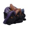 Trio of Mischief 20cm Coven Keepers - Image 4