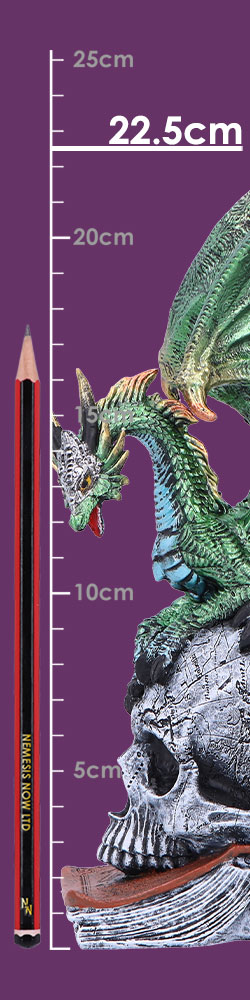 Ignisars Rule 22.5cm - Image 2