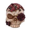 Rose Flame 14.5cm - Image 4