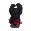 Raven Romance 20cm - Image 4