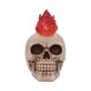 Hot-Headed 19cm - Image 4