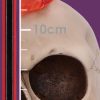 Hot-Headed 19cm - Image 2