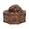 House of the Dragon Syrax Box - Image 2